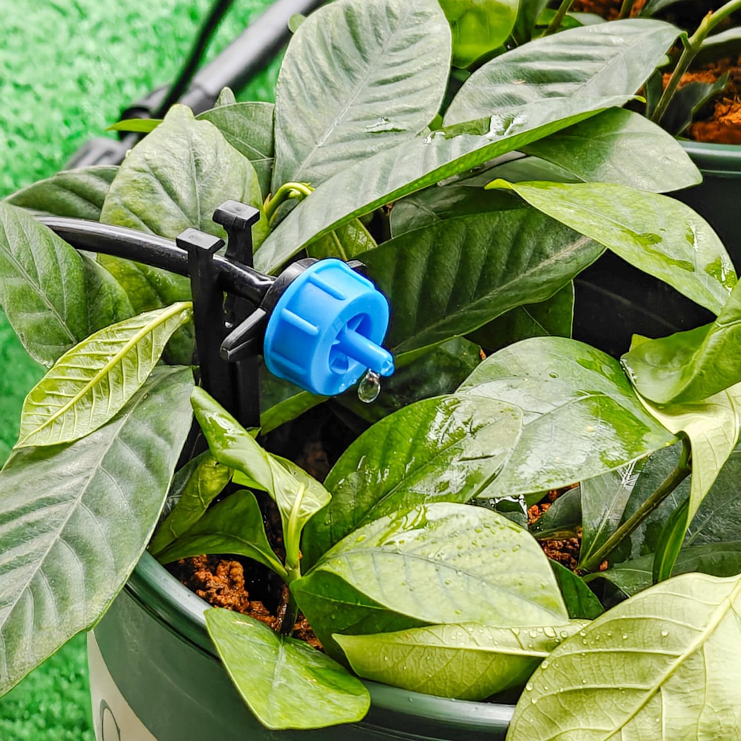 50 Pack 1/2 Gallon Per Hour Pressure Compensating Drip Irrigation Drippers, Oran