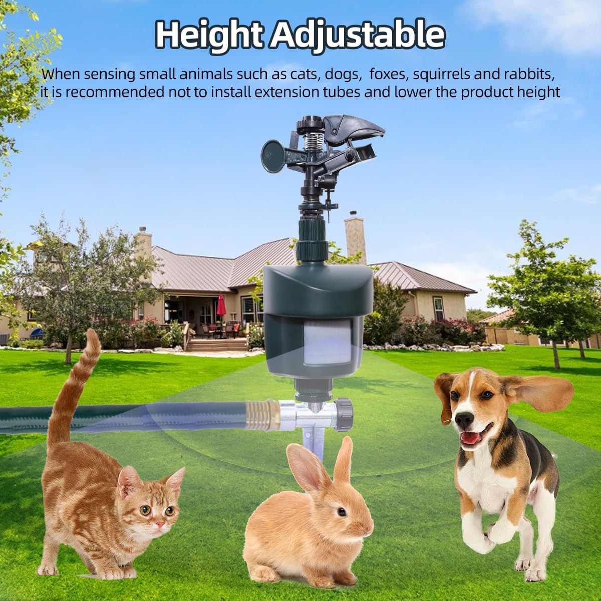 Motion Activated Sprinkler to Deter Animal Cat, Birds, Dogs Repellent Outdoor…