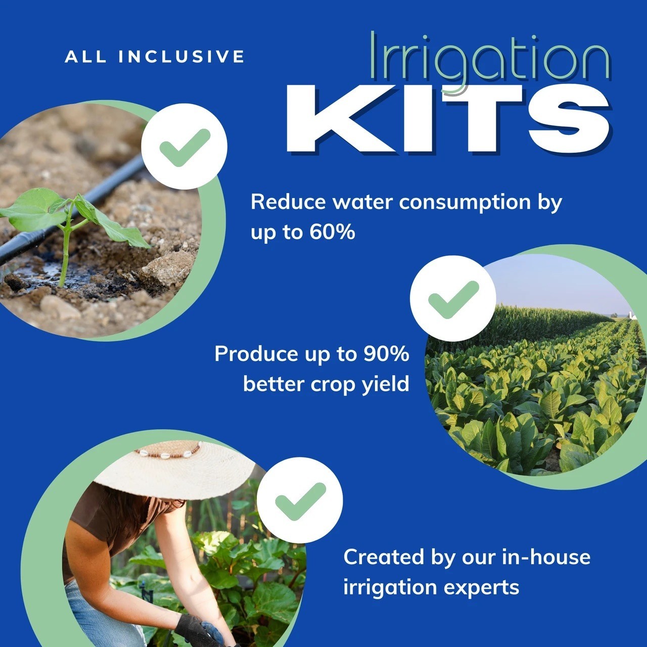 Automated Dripworks Premium Garden Bed Irrigation Kit – Waters upto 3 Beds