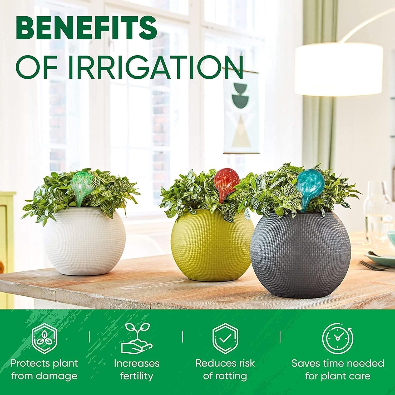 6-Pk Large Glass Self-Watering Globes for Indoor/Outdoor Plants – Multicolor
