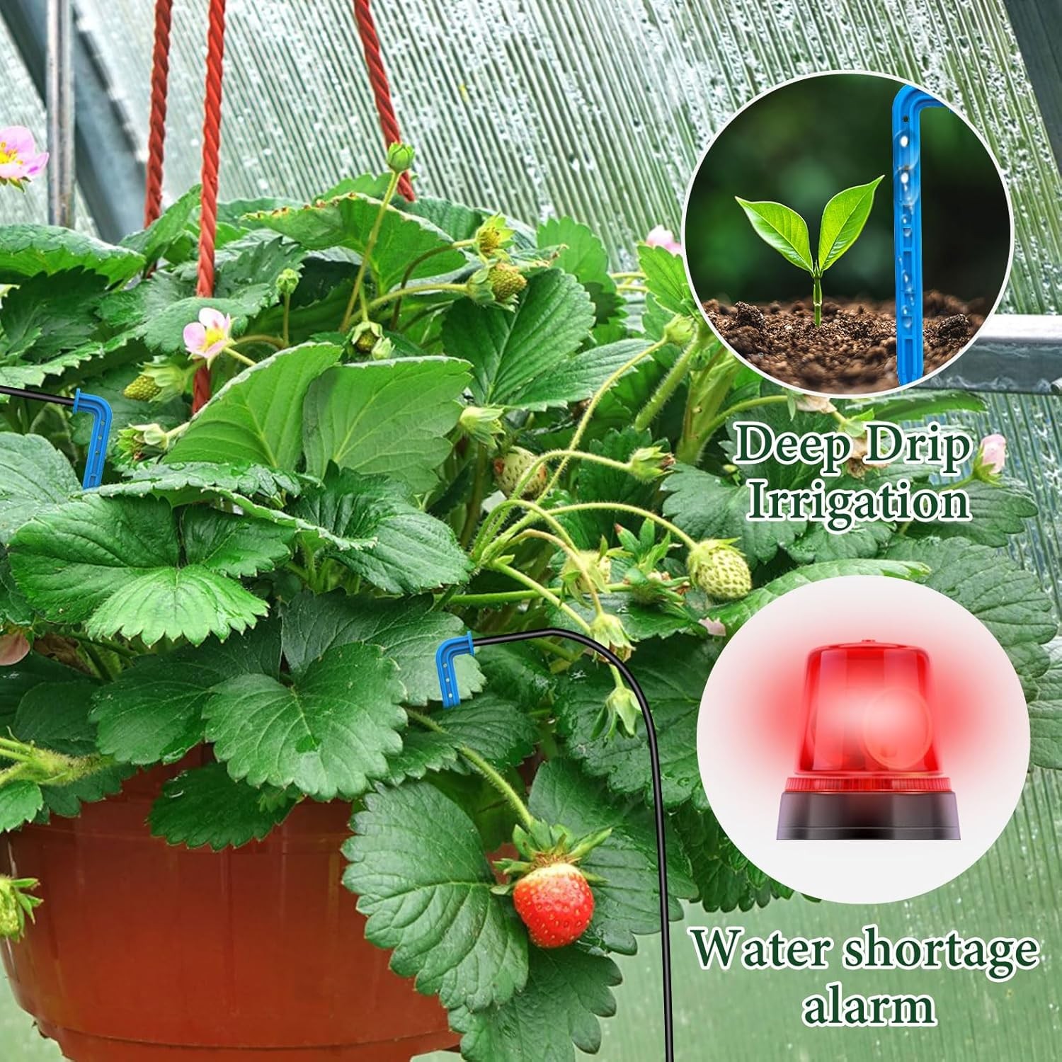 50FT Automatic Solar Drip Irrigation System Kit Plant Watering Timer Set Garden