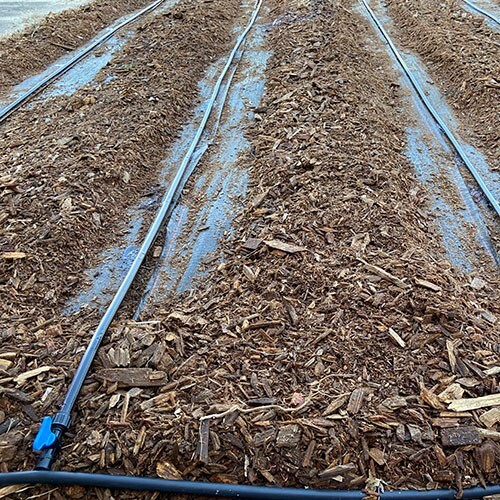 Garden Drip Irrigation Starter Kit A-BV-B 10 row 1000ft tape vegetable system